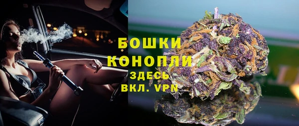 a pvp Белокуриха
