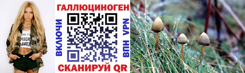 Псилоцибиновые грибы Magic Shrooms  Воскресенск 