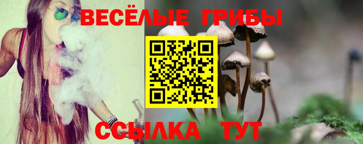 Псилоцибиновые грибы Magic Shrooms  Вход с VPN  Воскресенск 